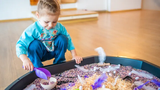 Desarrollo Sensorial en la Primera Infancia - Educakids Academy